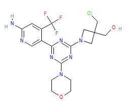 2D structure of the orthosteric ligand