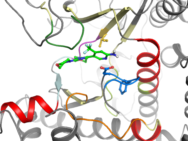 The orthosteric binding pocket