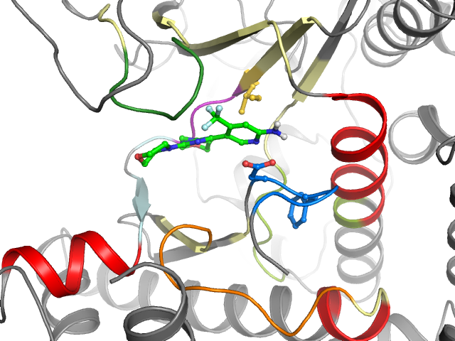 The orthosteric binding pocket