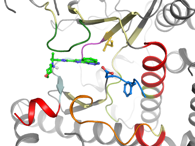 The orthosteric binding pocket
