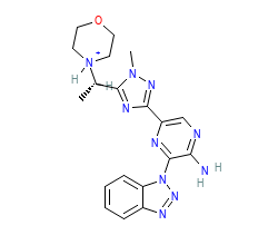 2D structure of the orthosteric ligand