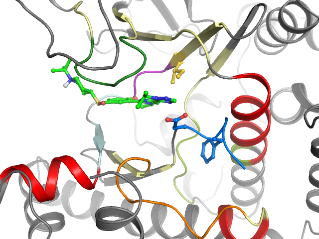 The orthosteric binding pocket