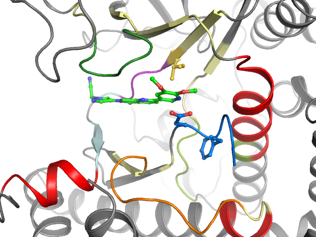 The orthosteric binding pocket