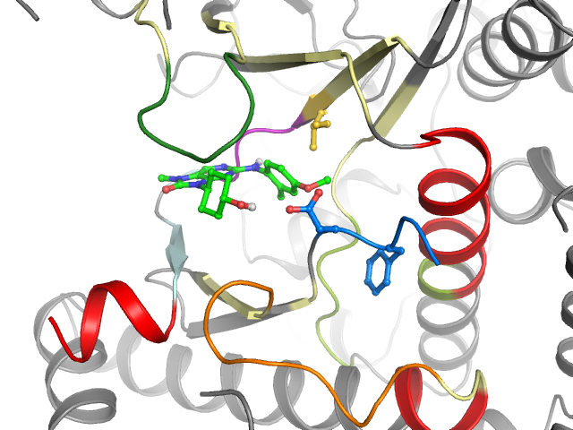 The orthosteric binding pocket