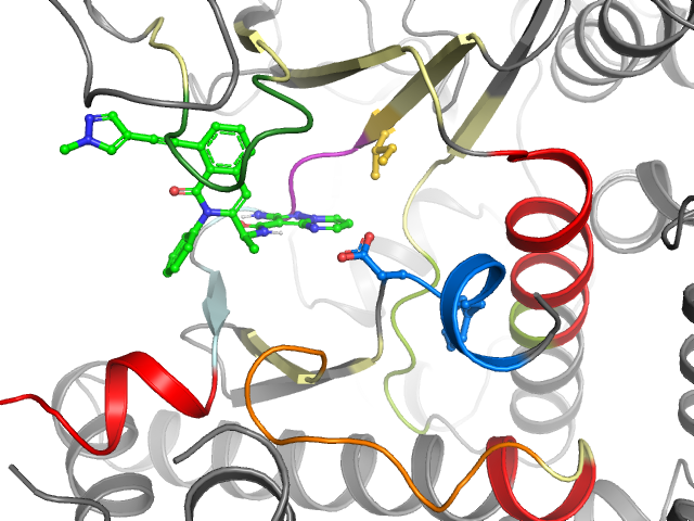 The orthosteric binding pocket