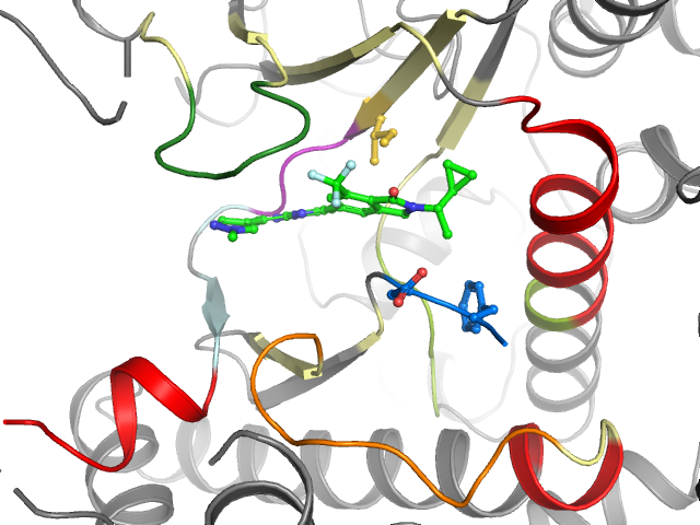The orthosteric binding pocket