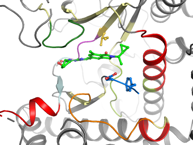 The orthosteric binding pocket