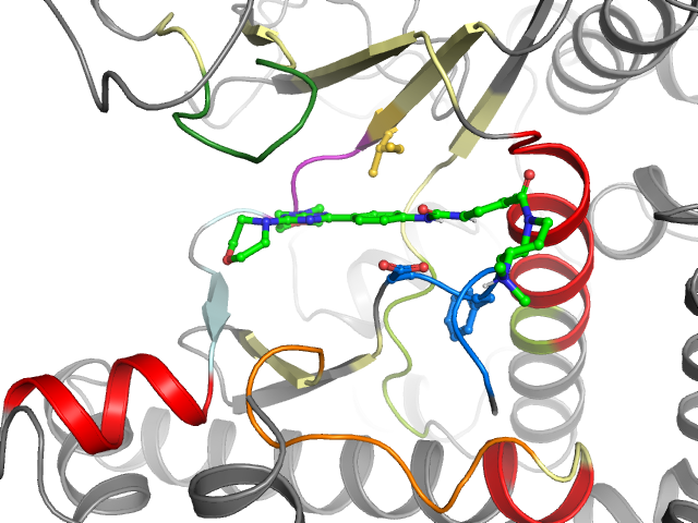 The orthosteric binding pocket