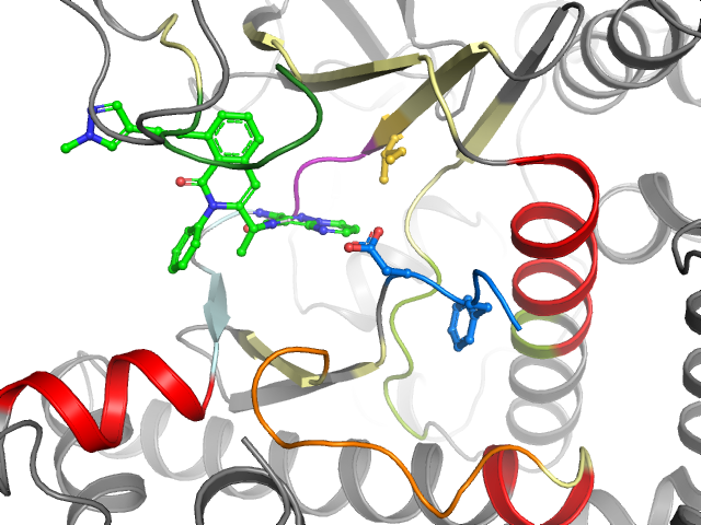 The orthosteric binding pocket