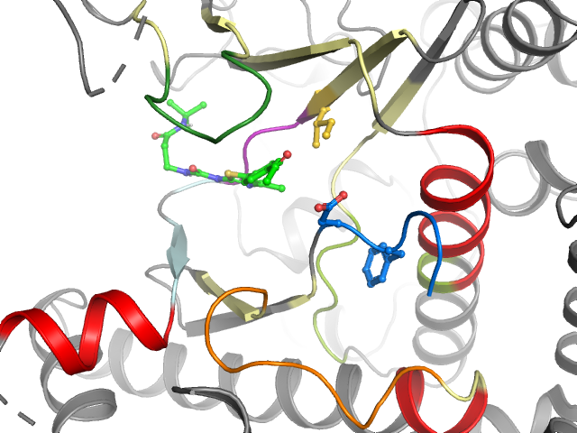 The orthosteric binding pocket