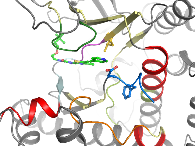 The orthosteric binding pocket