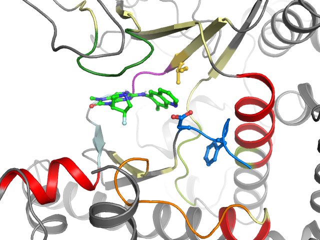The orthosteric binding pocket