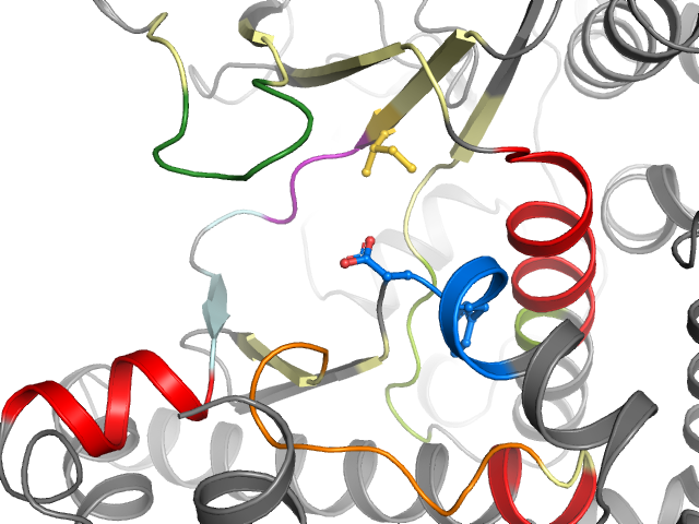 The orthosteric binding pocket
