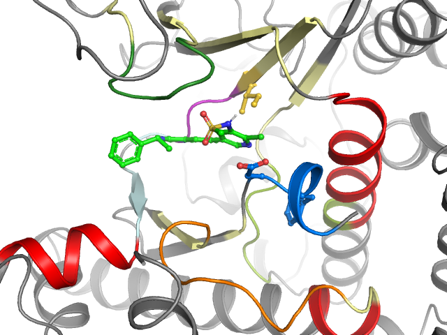 The orthosteric binding pocket