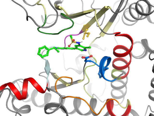 The orthosteric binding pocket