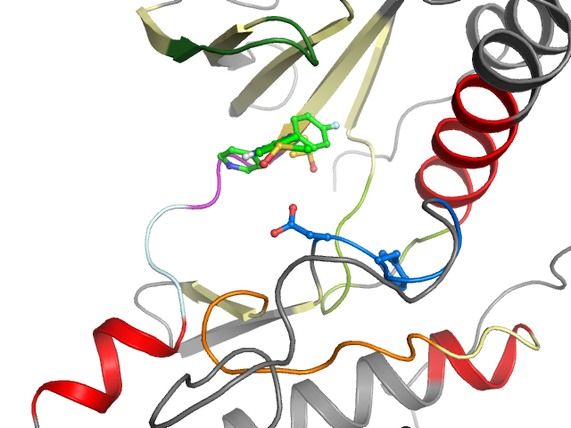 The orthosteric binding pocket