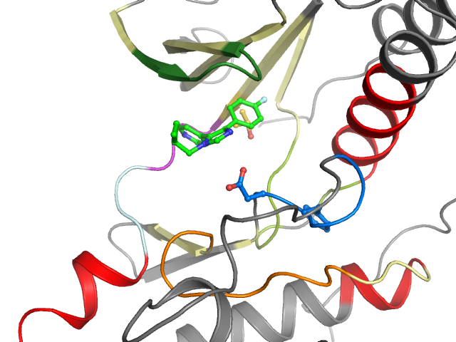 The orthosteric binding pocket