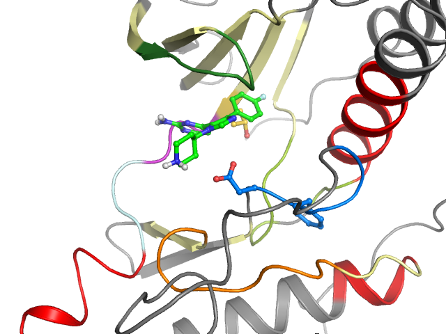 The orthosteric binding pocket