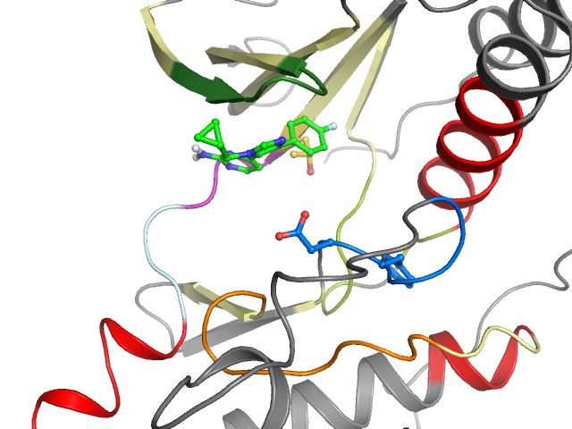 The orthosteric binding pocket
