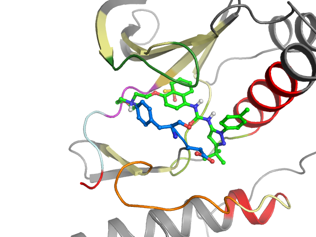 The orthosteric binding pocket