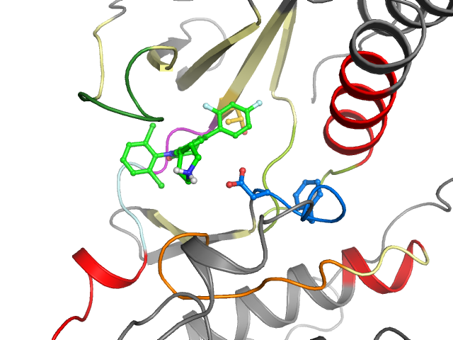 The orthosteric binding pocket
