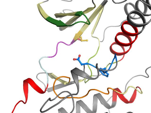 The orthosteric binding pocket
