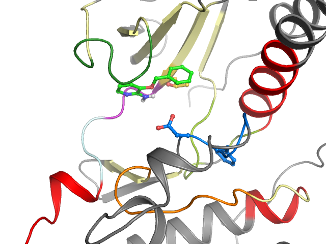 The orthosteric binding pocket