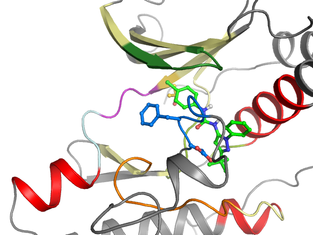 The orthosteric binding pocket