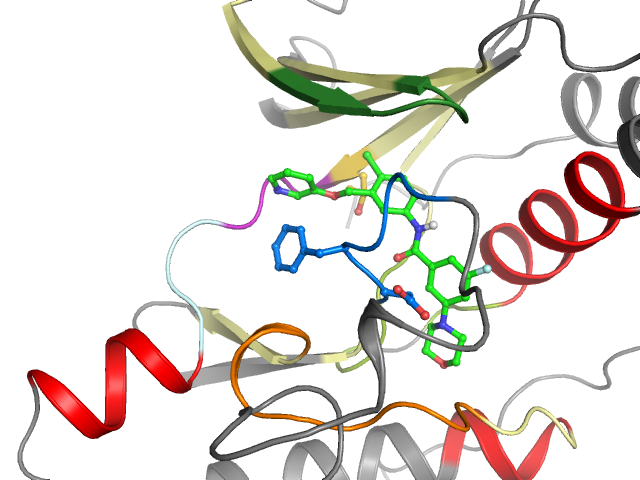 The orthosteric binding pocket