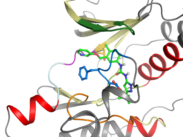 The orthosteric binding pocket