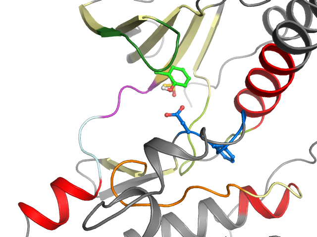 The orthosteric binding pocket