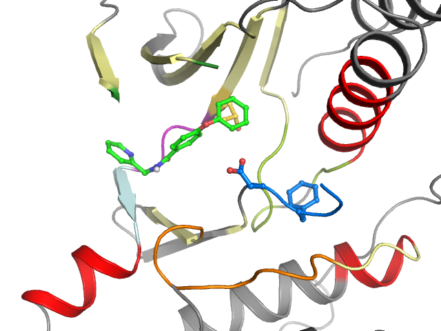 The orthosteric binding pocket