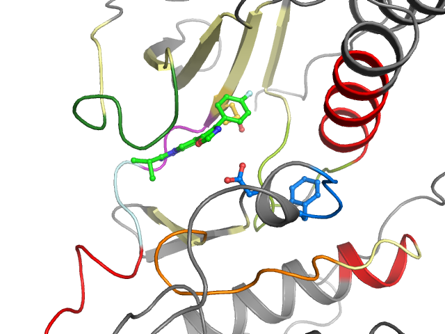 The orthosteric binding pocket