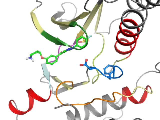 The orthosteric binding pocket
