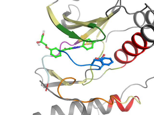 The orthosteric binding pocket