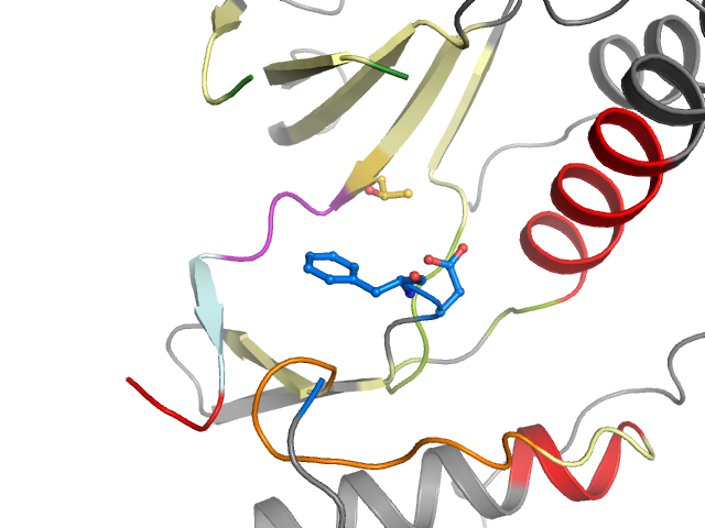 The orthosteric binding pocket