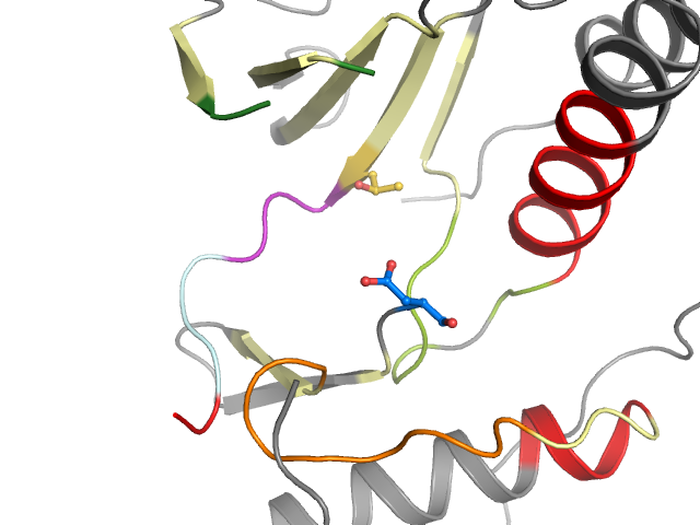 The orthosteric binding pocket