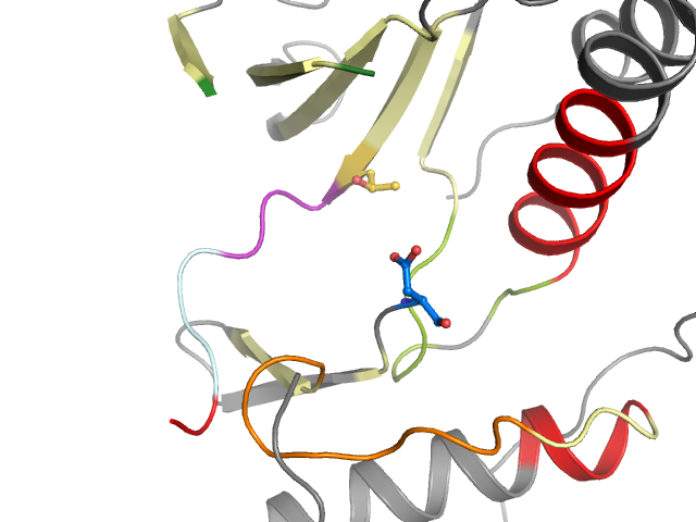The orthosteric binding pocket
