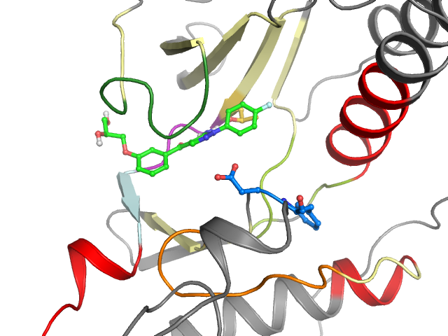 The orthosteric binding pocket