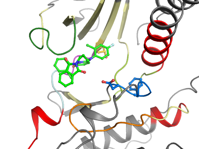 The orthosteric binding pocket