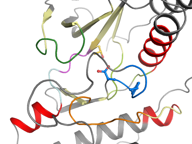 The orthosteric binding pocket