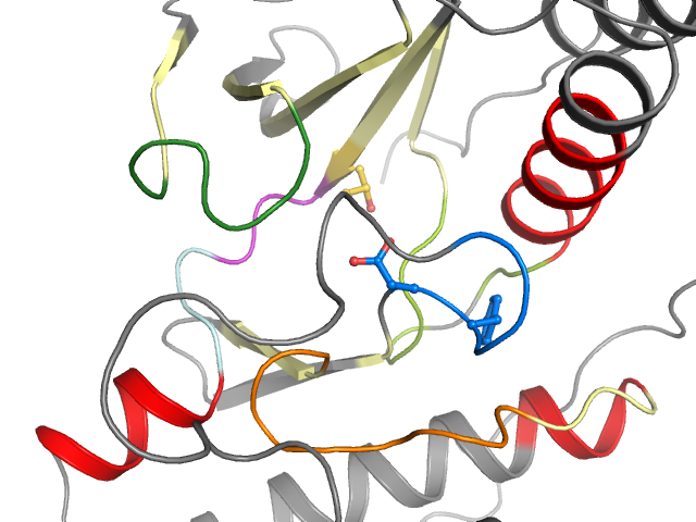 The orthosteric binding pocket