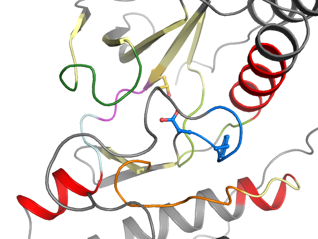 The orthosteric binding pocket