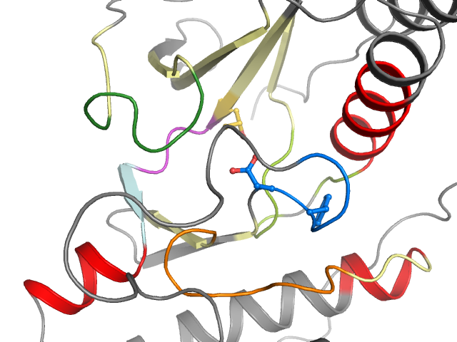 The orthosteric binding pocket