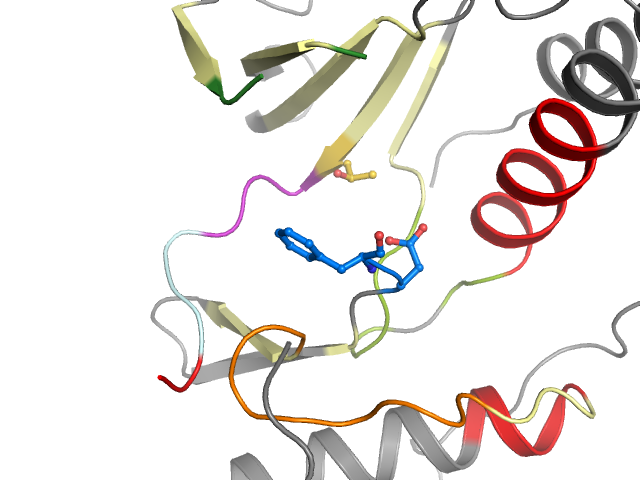 The orthosteric binding pocket