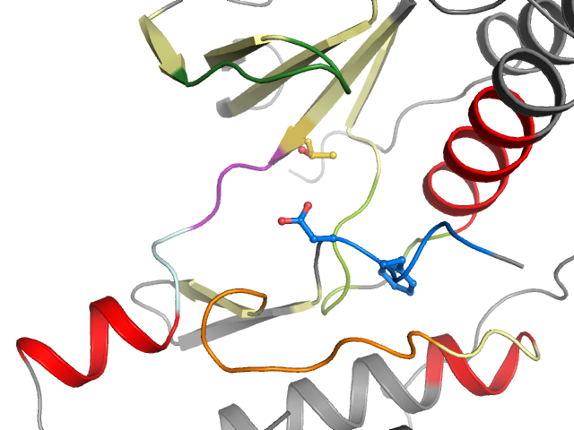 The orthosteric binding pocket