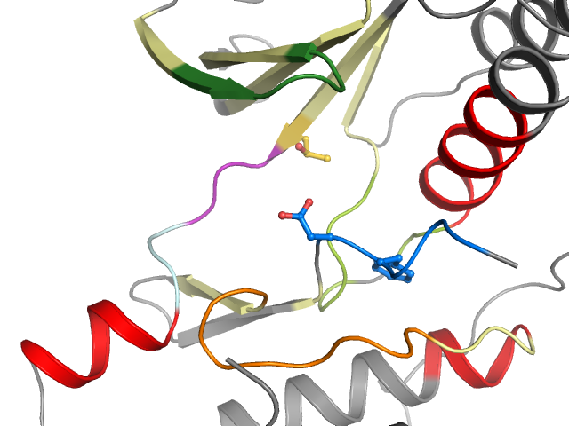 The orthosteric binding pocket