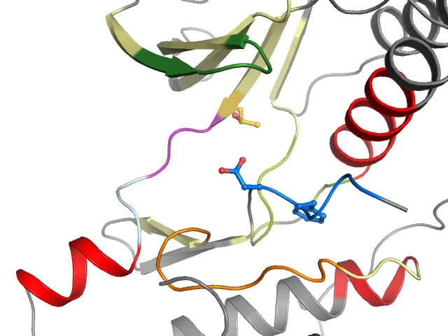 The orthosteric binding pocket