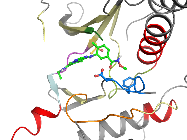 The orthosteric binding pocket