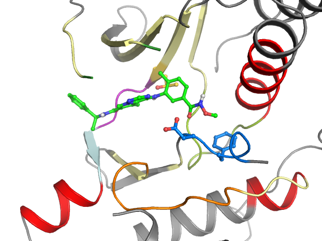 The orthosteric binding pocket